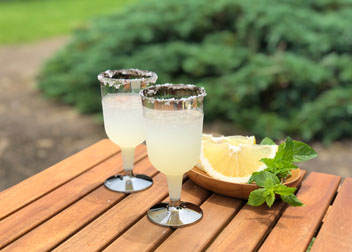 ソルティードッグ