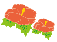 ハイビスカス（小）